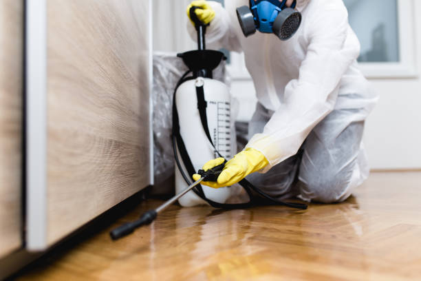 Best Rat Extermination Near Me  in Columbia City, OR