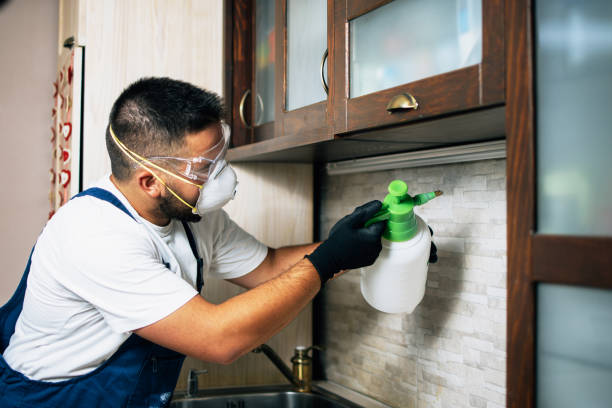 Best Emergency Pest Control  in Columbia City, OR