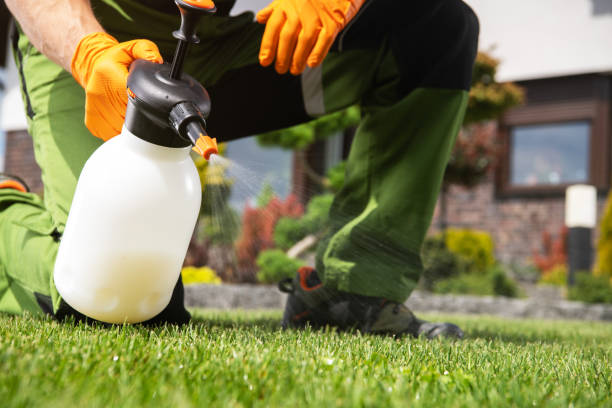 Best Mosquito Control Services  in Columbia City, OR
