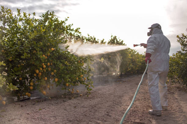 Best Wasp Removal Services  in Columbia City, OR
