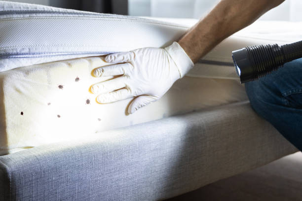 Best Insect Control  in Columbia City, OR