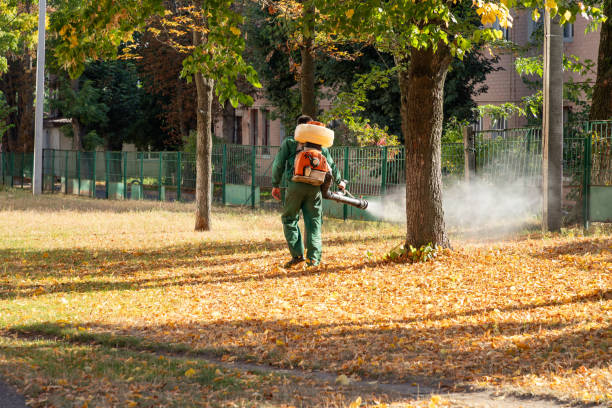 Best Termite Control Services  in Columbia City, OR